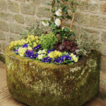 Colourful Spring Planting in a stunning D-shaped Pump Stone Trough