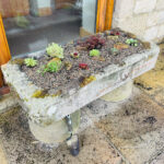 Alpine Stone Trough