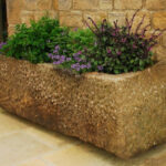 My Own Herb Garden in a Stone Trough