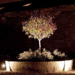 Stone Troughs by night